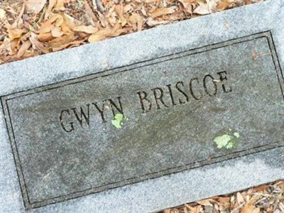 Gwyn Briscoe on Sysoon
