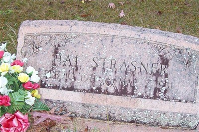 Hal Strasner on Sysoon