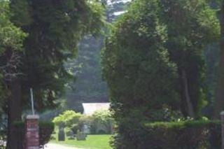 Hamilton Cemetery on Sysoon