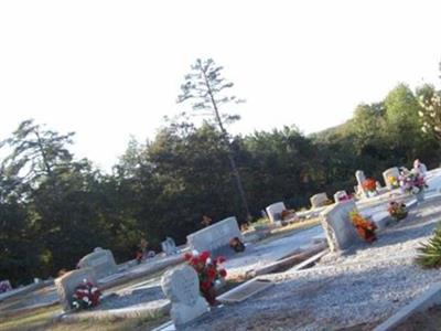 Hannahs Creek Baptist Church Cemetery on Sysoon