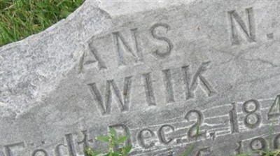 Hans N. Wiik on Sysoon