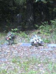 Hanson-Sorrells-Eidson Cemetery on Sysoon