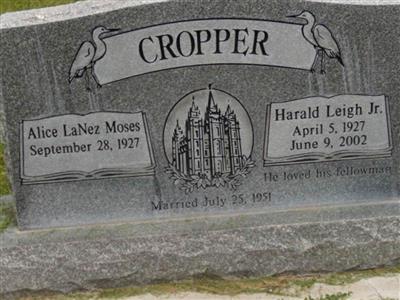 Harald Leigh Cropper, Jr on Sysoon
