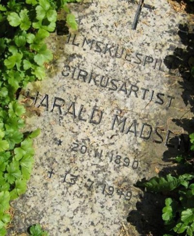 Harald Madsen on Sysoon