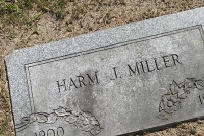 Harm J. Miller on Sysoon