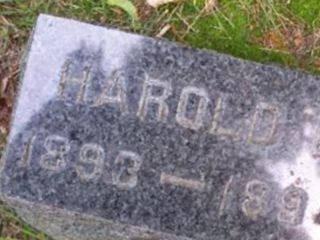 Harold E Raynor on Sysoon