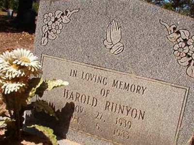 Harold Runyon on Sysoon