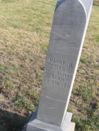 Harry D Tibbits on Sysoon