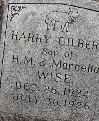 Harry Gilbert Wise on Sysoon