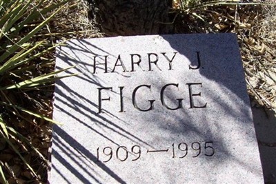 Harry Joshua Figge on Sysoon
