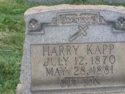 Harry Kapp on Sysoon
