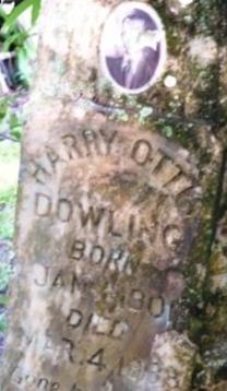 Harry Ottis Dowling on Sysoon