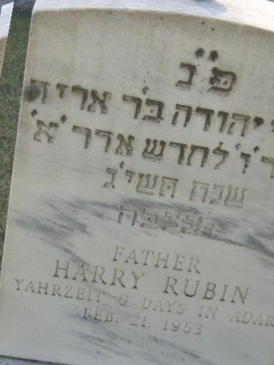 Harry Rubin on Sysoon