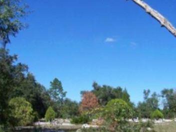 Hawthorne Cemetery on Sysoon