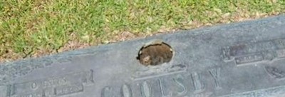 Hazel B. Goolsby, Find a grave on Sysoon Hazel B. Goolsby on Sysoon