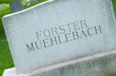 Hazel Forster Muehlebach on Sysoon