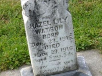 Hazel Lily Watson on Sysoon