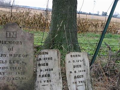 Heavin-Lee Cemetery on Sysoon