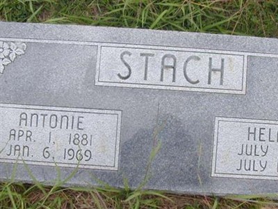 Helmuth Stach on Sysoon