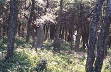 Hendricks Cemetery on Sysoon