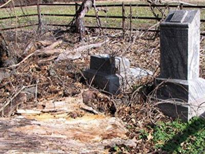 Henry Fowlkes Family Cemetery on Sysoon