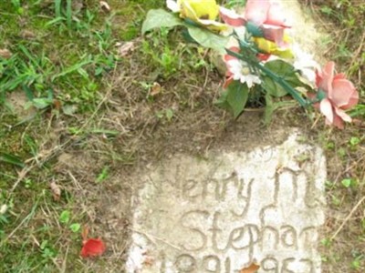 Henry M Stephan on Sysoon