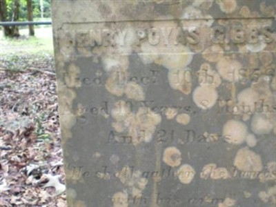 Henry Poyas Gibbs on Sysoon