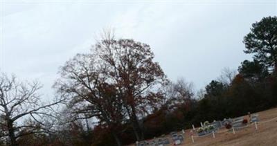 Henson Springs Cemetery on Sysoon