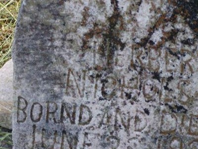Herbert Nicolas on Sysoon