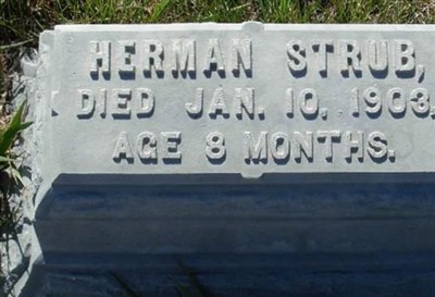 Herman Strub on Sysoon