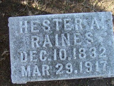 Hester Ann Stringfield Raines on Sysoon
