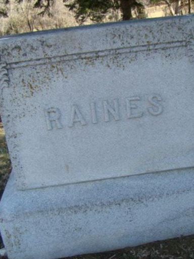 Hester Ann Stringfield Raines on Sysoon