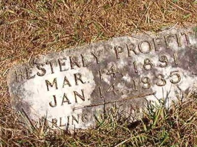 Hesterly P Proffitt on Sysoon