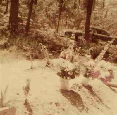 Hickory Hill Cemetery on Sysoon