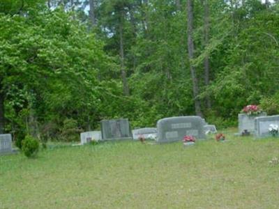 Hocutt Cemetery on Sysoon