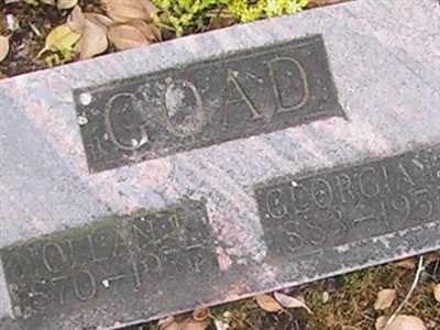 Hollan L Goad on Sysoon