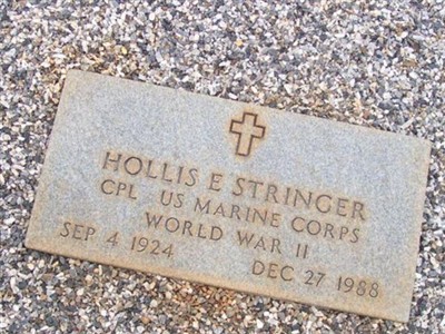 Hollis Stringer on Sysoon