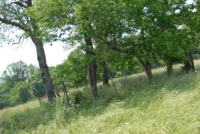 Holman Cemetery on Sysoon