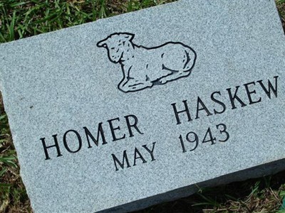 Homer Haskew on Sysoon