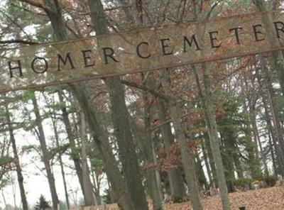Homer Township Cemetery on Sysoon