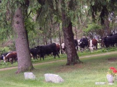 Horton Cemetery on Sysoon