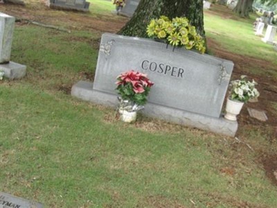 Hoyt Weyman Cosper, Sr on Sysoon
