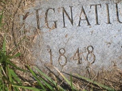 Ignatius Kotras on Sysoon