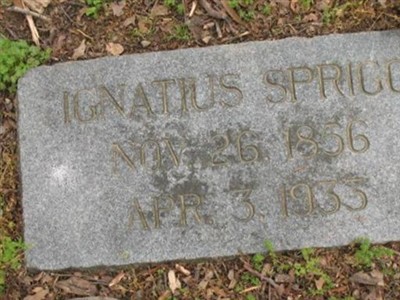 Ignatius Sprigg on Sysoon