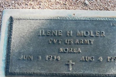 Ilene H Moler on Sysoon