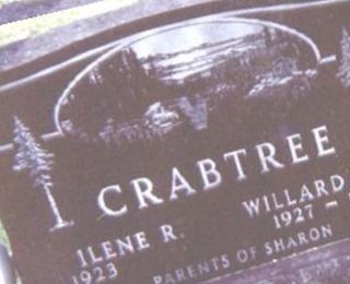 Ilene R. Crabtree on Sysoon