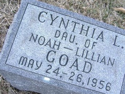 Infant Cynthia L Goad on Sysoon