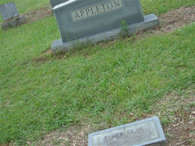 Infant Daughter Appleton on Sysoon