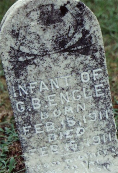 Infant Engle on Sysoon