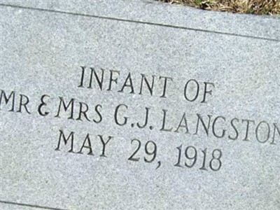 Infant Langston on Sysoon